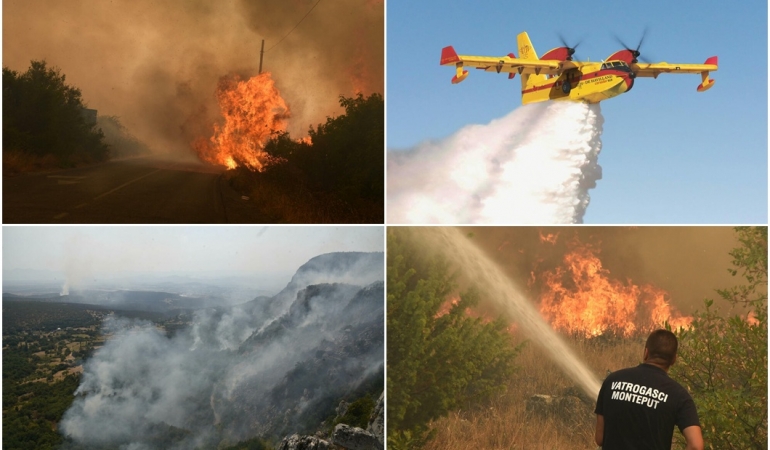montenegro orman yangınları