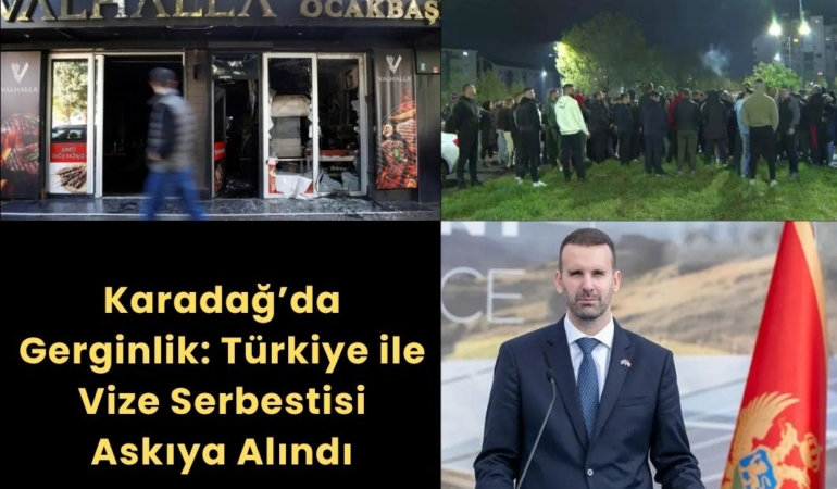 vize