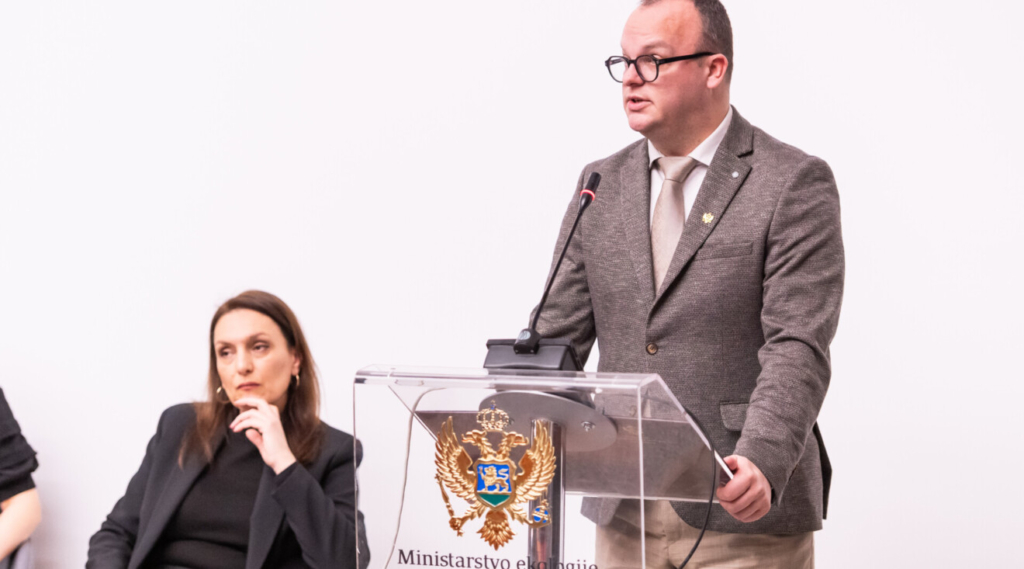 Düşük Karbonlu Kalkınma