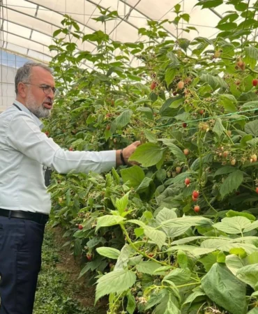 Sırbistan