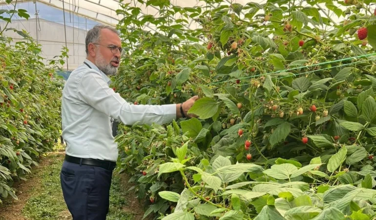 Sırbistan
