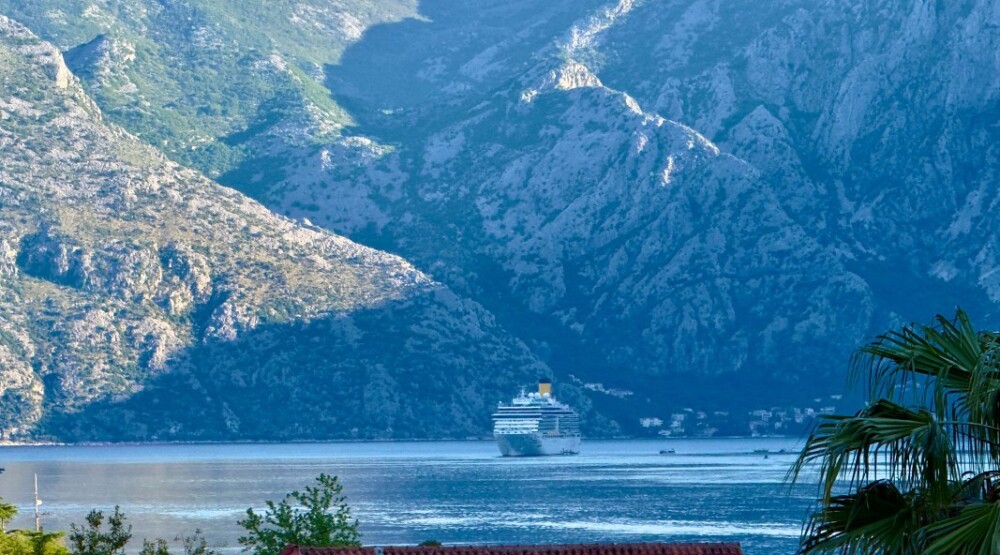 Kotor